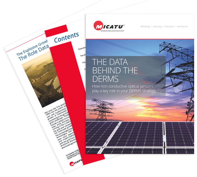 MICATU DERMS LANDING PAGE FAN-2023